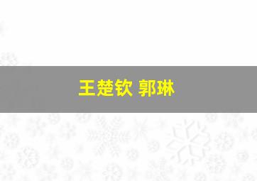 王楚钦 郭琳